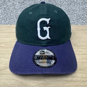 Greenville‎ Drive Hat Cap Strap Back New Era Authentic Minor League Baseball New